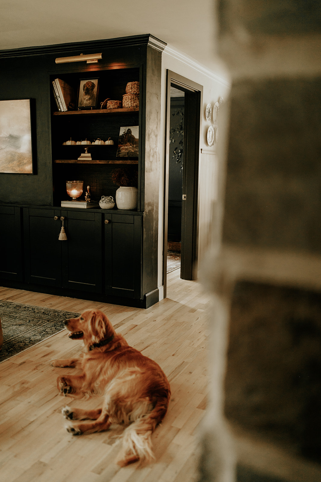 A dog lays on real hardwood floors, next to a vintage rug and in front of built in cabinets with well decorated shelves.